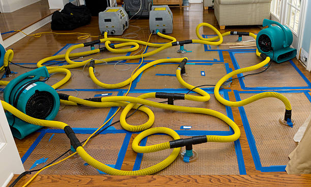 Professional Water Damage Restoration technician working in Newberry, MI